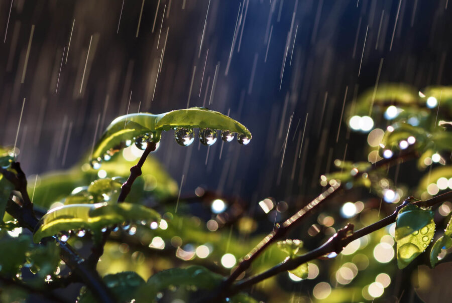 Успокаивающий звук дождя для сна и релакса — бинауральные ритмы